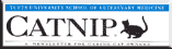 Catnip Newsletter